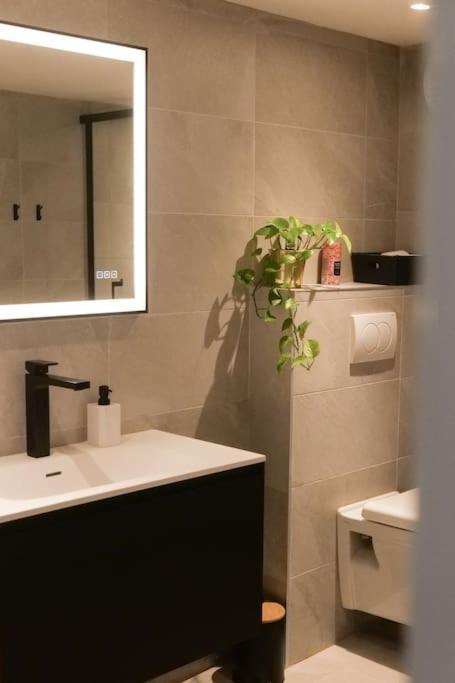 Hypercentre Rue Pietonne Au Calme Apartment Toulouse Exterior photo